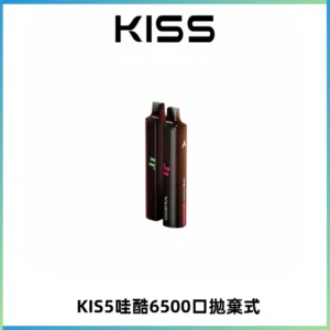 KIS5WAGOO哇酷6500口拋棄式 | 自由混搭雙口味 | 雙芯組合
