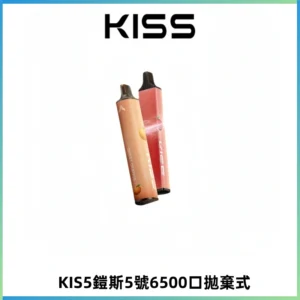 KIS5鎧斯5號一次性6500口磁吸式拋棄式電子煙#自由混搭#